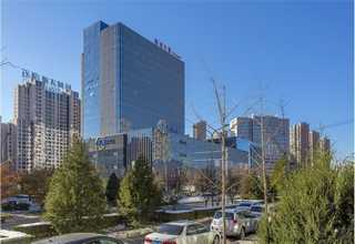 山西牵牛花花种一般多少钱